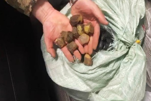 В Ровенской области выдали первые разрешения на добычу янтаря