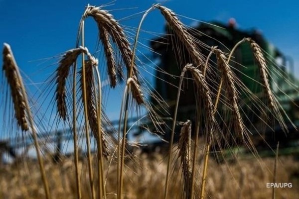 Минэкономики снизило прогноз урожая зерновых