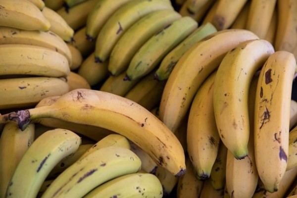 В Африке научились отапливать дома бананами