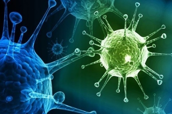 Врожденный иммунитет к COVID-19 может иметь до 50% людей — ученые