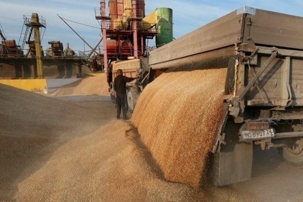 Украина на втором месте в мире по экспорту зерна