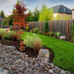 Как выбрать вечнозеленый декоративный кустарник для небольшого дачного участка