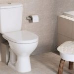 Модели унитазов от А до Я: с крышкой, со сливным механизмом, с двойной и одинарной кнопкой