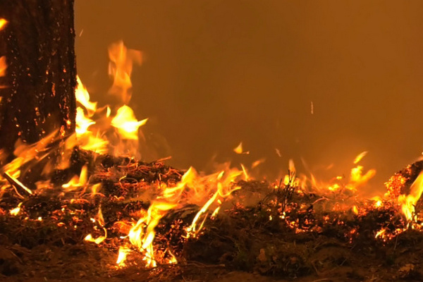 В России горит 1,5 миллиона гектаров леса