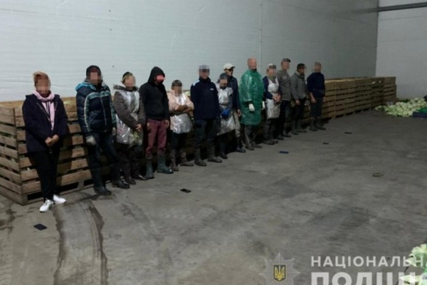 На Днепропетровщине из трудового рабства на ферме освободили 60 человек