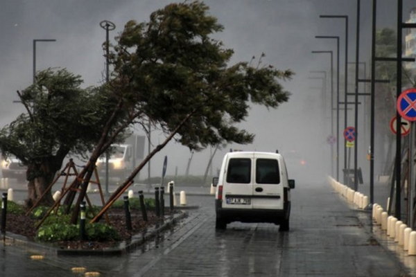 Поваленные деревья, сорванные крыши и закрытый аэропорт: в Анталии усилился ураган