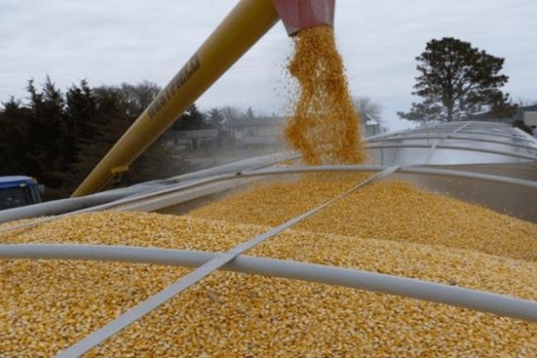 Украина экспортировала более 33 миллионов тонн зерна