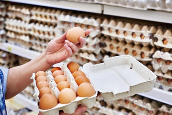 Производство яиц в Украине снизилось на 13%