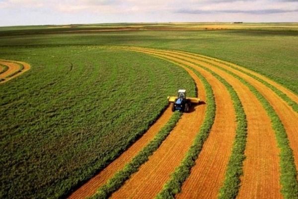 В Украине в прошлом году продали около 200 тысяч гектаров сельхозземель
