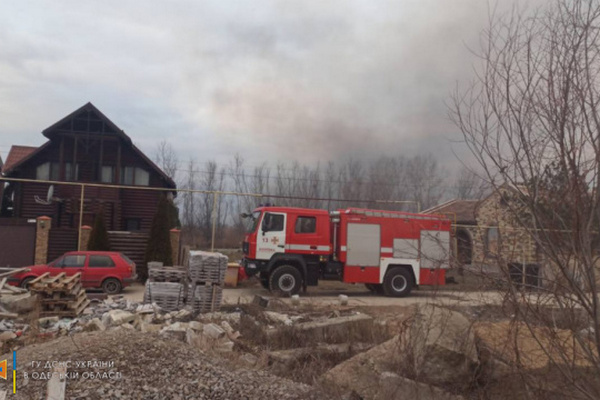 Спасатели ликвидировали масштабный пожар в нацпарке в Одесской области