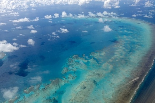 Австралия выделит $700 миллионов для спасения Большого Барьерного рифа