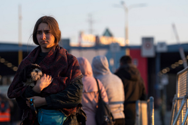 В Нидерланды уже прибыли почти 50 тысяч беженцев из Украины