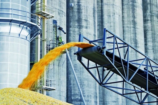 Украина при любых обстоятельствах останется на рынке зерна — Тарас Качка