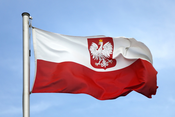 Польша может организовать обучение для украинских военных