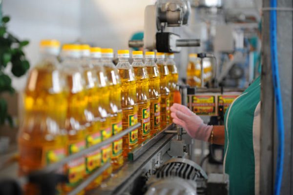Один из крупнейших производителей подсолнечного масла в Украине может остановить работу: что известно