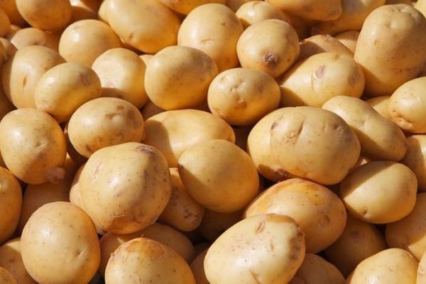 В Украине упали цены на картошку: как изменилась стоимость овоща в супермаркетах