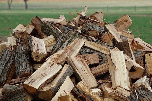 Дуб, береза или акация: какие дрова лучше выбрать для отопления