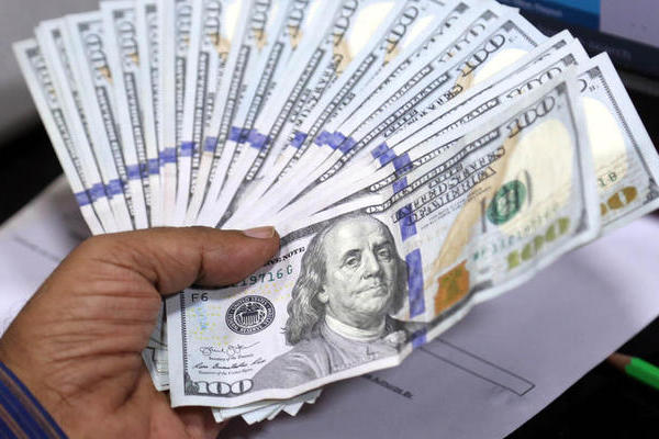 В украинских банках появился наличный доллар: в НБУ сделали заявление