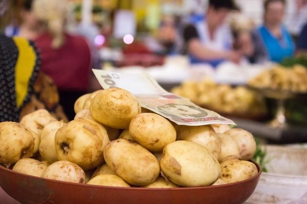 В Украине рекордно подешевел картофель: сколько стоит килограмм в конце октября