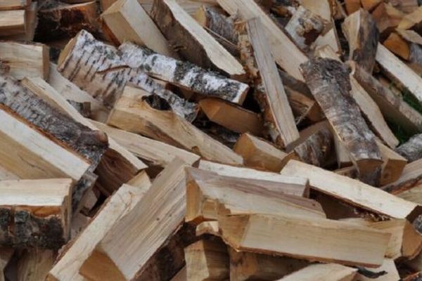 Украинцы начали получать бесплатные дрова: как оформить помощь в условиях блэкаута