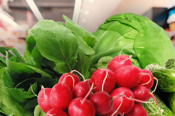 Супермаркеты обновили цены на мясо, овощи, фрукты: сколько стоят продукты в начале ноября