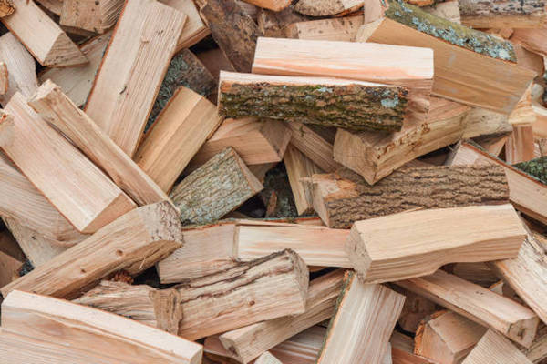 Дрова в Украине подорожали вдвое: кто и как может получить бесплатную топливную древесину от государства