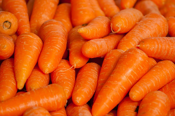 В Украине рекордно подорожала морковь: фермеры назвали основные причины высоких цен на овощ