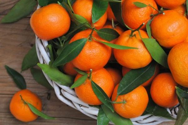Апельсины мандарины, лимоны и бананы подешевели: сколько стоят фрукты в начале зимы