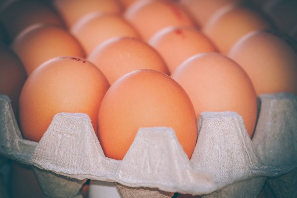 Будем с яйцами: стало известно о снижении цен на ходовой продукт