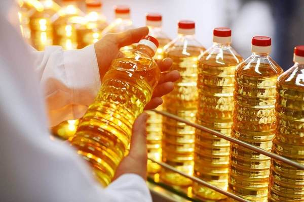Украинские супермаркеты повысили цены на подсолнечное масло, яйца и муку: сколько стоят продукты в начале февраля