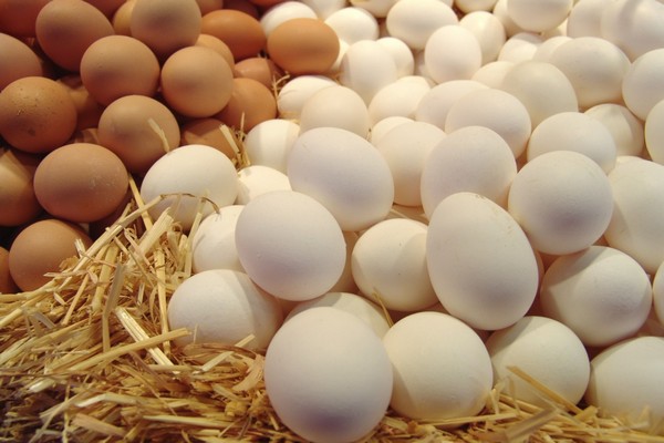 В торговых сетях цены на яйца обрушатся сразу после Пасхи