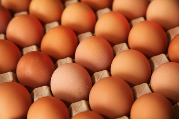 В Украине подешевели яйца, гречка и рис: в каких супермаркетах ценники ниже