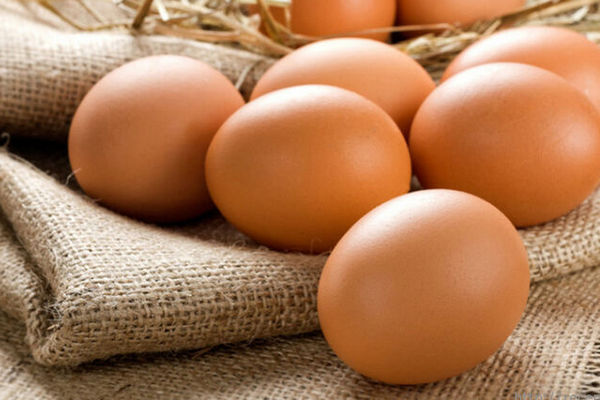 В Украине стремительно дешевеют яйца: сколько стоит десяток в середине мая