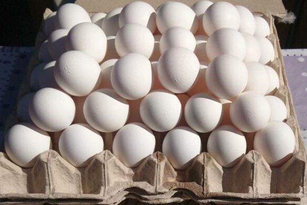 Украинцев ждет новое подорожание яиц: когда вырастут цены