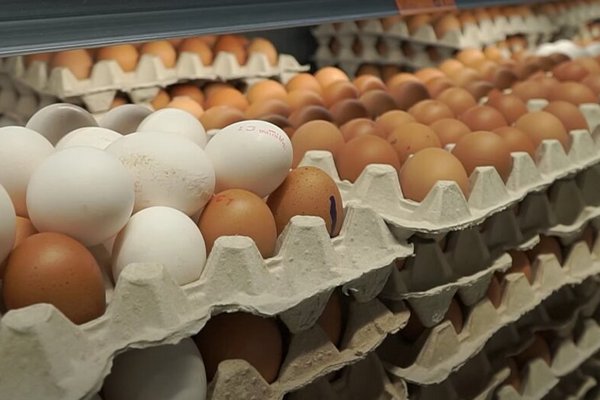 Яйца подешевели в Украине: цены на продукт в супермаркетах в конце июня