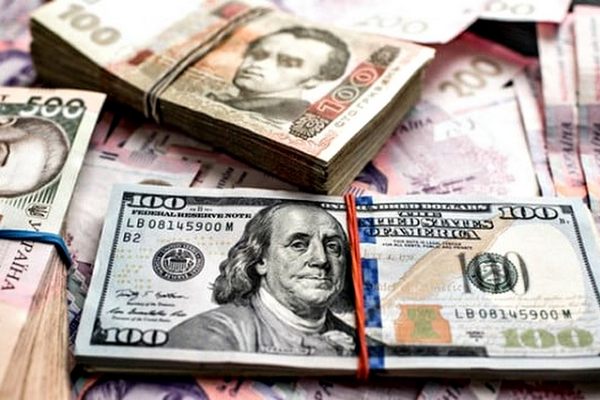 В Украине готовятся отменить фиксированный курс доллара: аналитик назвал сроки