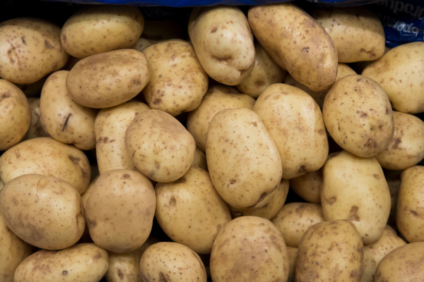 В Украине упали цены на картофель: пора ли делать заготовку на зиму