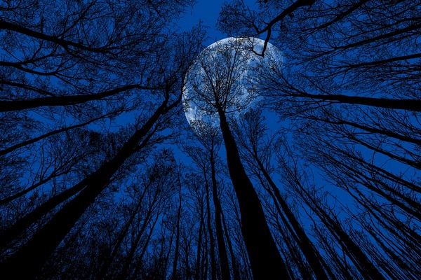 Голубая Луна: в последнюю ночь лета украинцы смогут наблюдать редкостное астрономическое явление