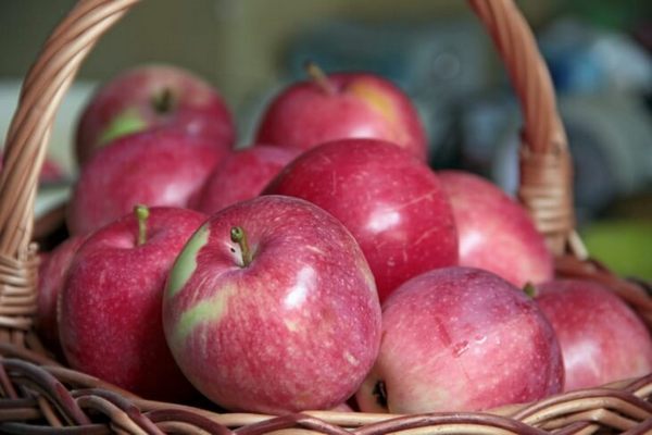 В Украине установили аномальные цены на яблоки: появился прогноз, как они изменятся в ближайшее время