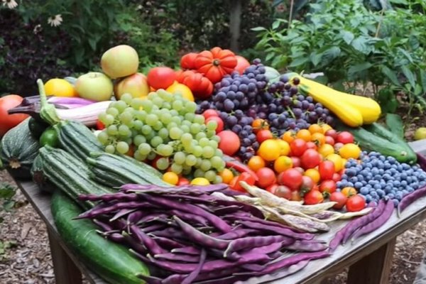 Украинцев предупредили об изменении цен на мясо, овощи и фрукты в сентябре