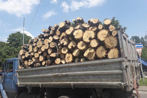 Украинцы получат по 16,2 тыс. грн на закупку дров: размер денежной помощи удвоили по решению Кабмина