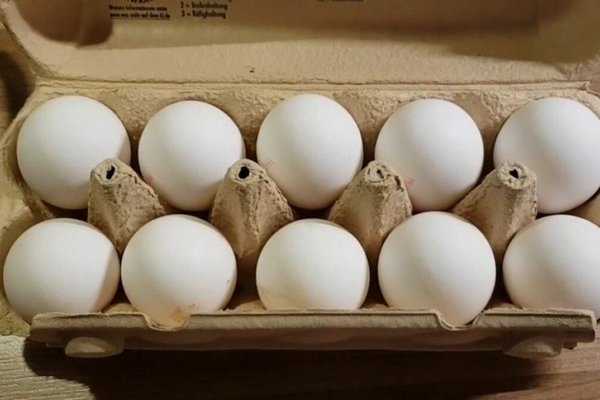 Украинские супермаркеты переписали цены на яйца, муку, сахар и подсолнечное масло: где дешевле купить продукты в конце декабря