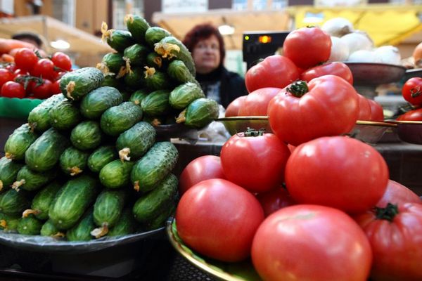 В Украине стремительно дешевеет самый популярный овощ, но запасаться им не стоит: какие цены выставили на рынке