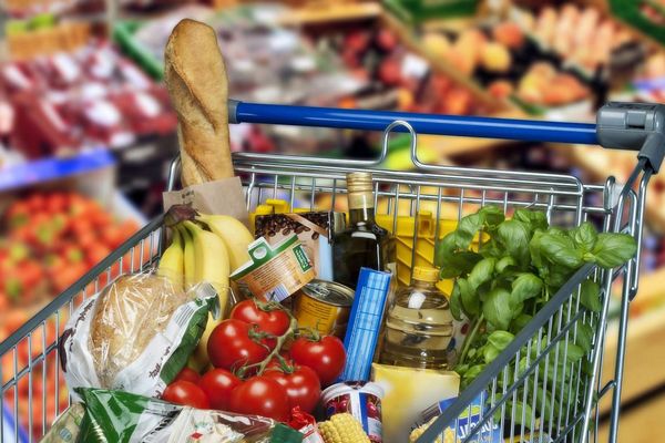 Инфляция на кухне: как изменились цены на продукты в июле 2025 года