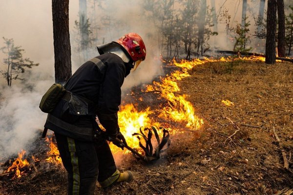 Канадские пожары: цифры, факты и неутешительные прогнозы