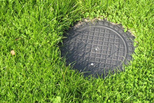 Как работают бактерии для септика