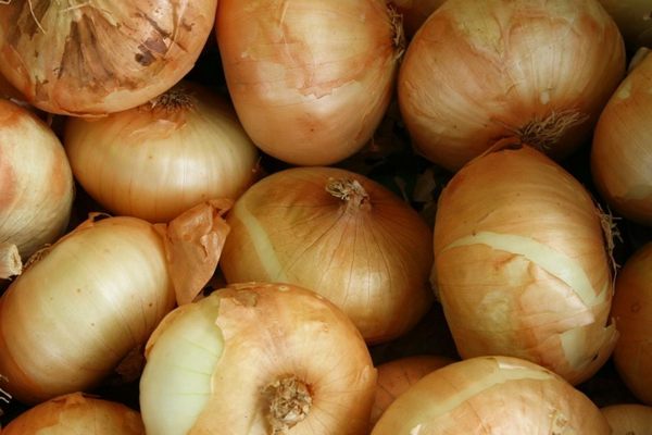 Избыточное предложение лука: 20-процентное падение цен на рынке Украины