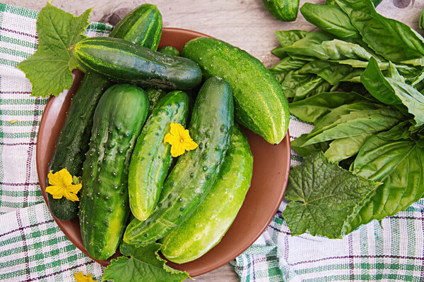 Шок на рынке: почему огурцы снова стали «золотыми»