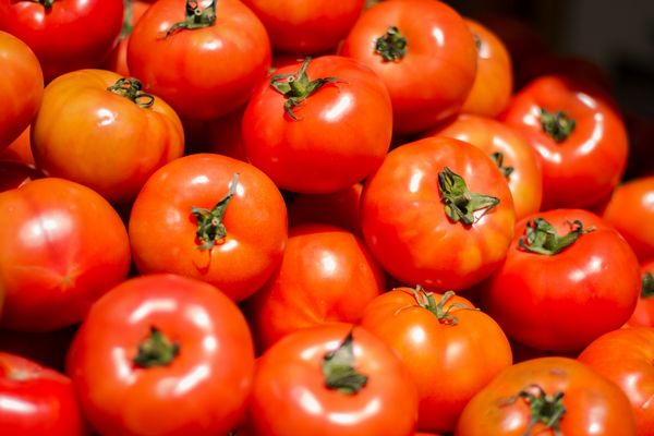 Коротко о главном: почему в Украине дорожают помидоры