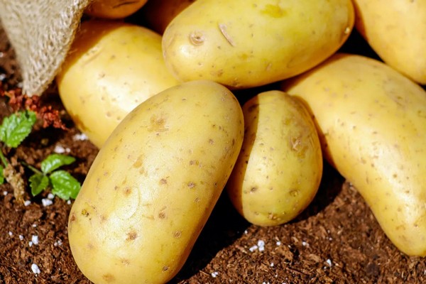 Цена на картофель упала на 10%: что произошло на рынке